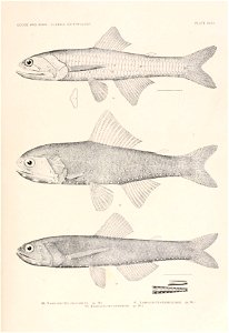 n104_w1150