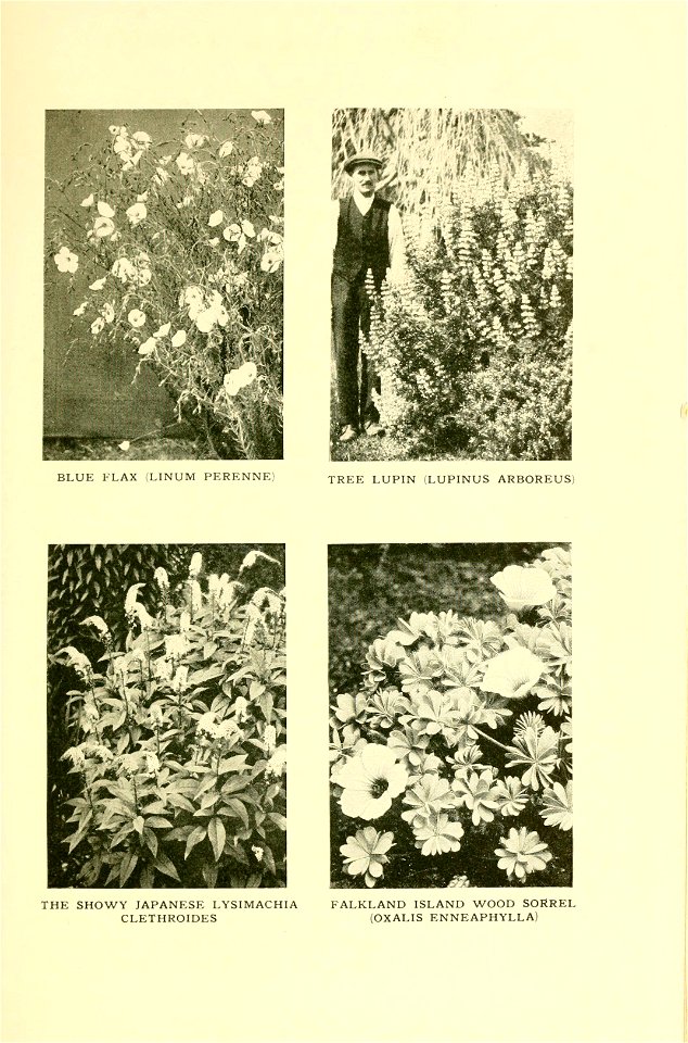 n376_w1150