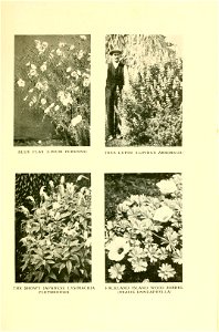 n376_w1150