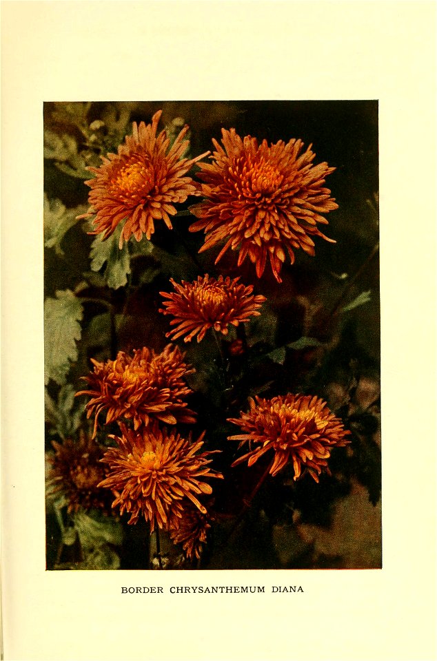 n182_w1150