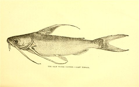 n152_w1150