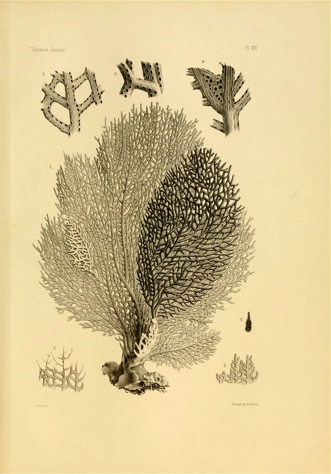 n154_w1150