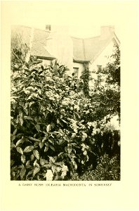 n538_w1150