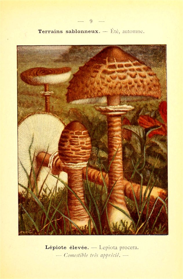 n36_w1150