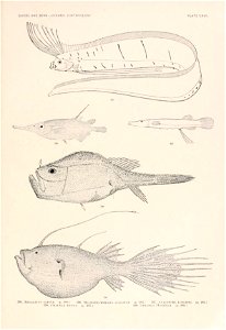 n292_w1150