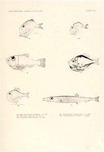 n136_w1150