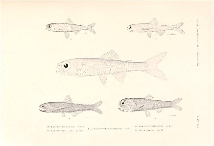 n106_w1150