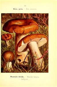 n84_w1150