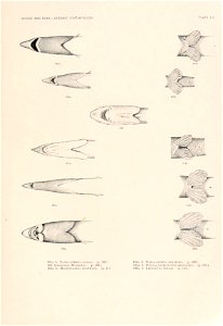 n162_w1150