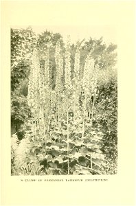 n230_w1150