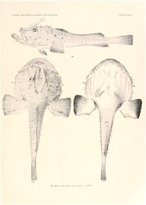 n294_w1150