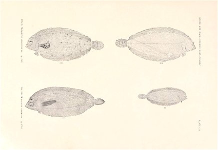 n264_w1150