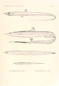 n142_w1150