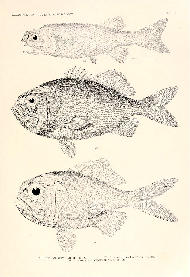 n170_w1150