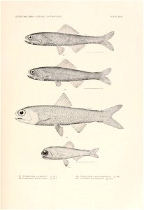 n110_w1150
