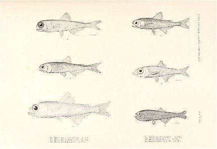 n102_w1150