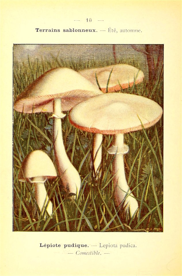 n37_w1150