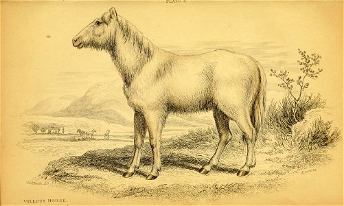 n284_w1150