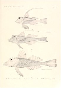 n280_w1150