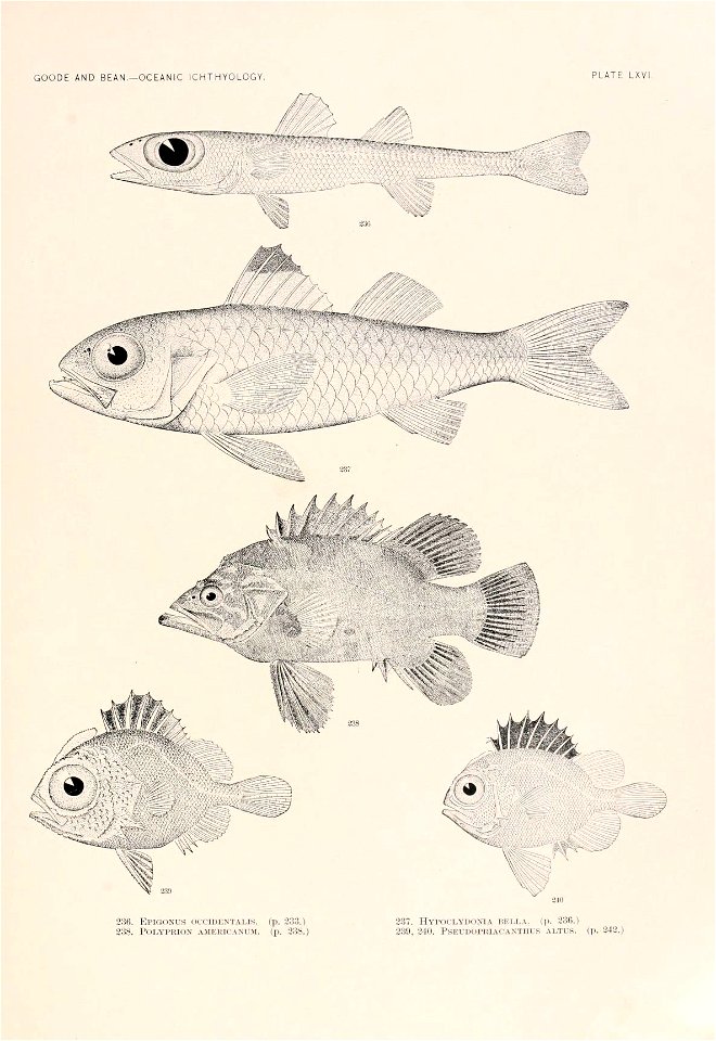 n190_w1150