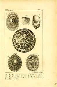 n66_w1150