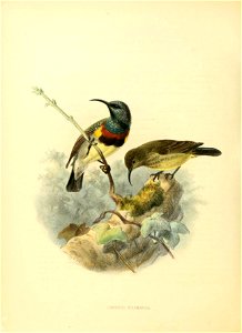 n503_w1150