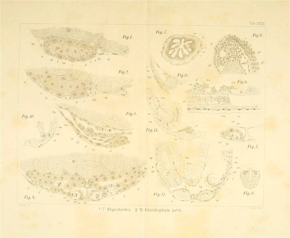 n158_w1150