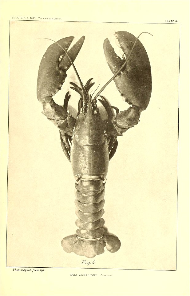 n292_w1150