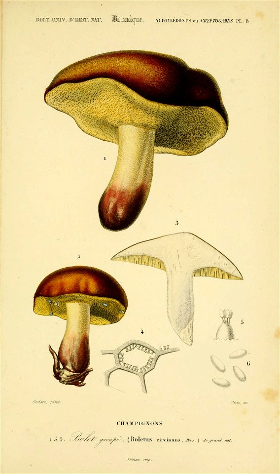n102_w1150