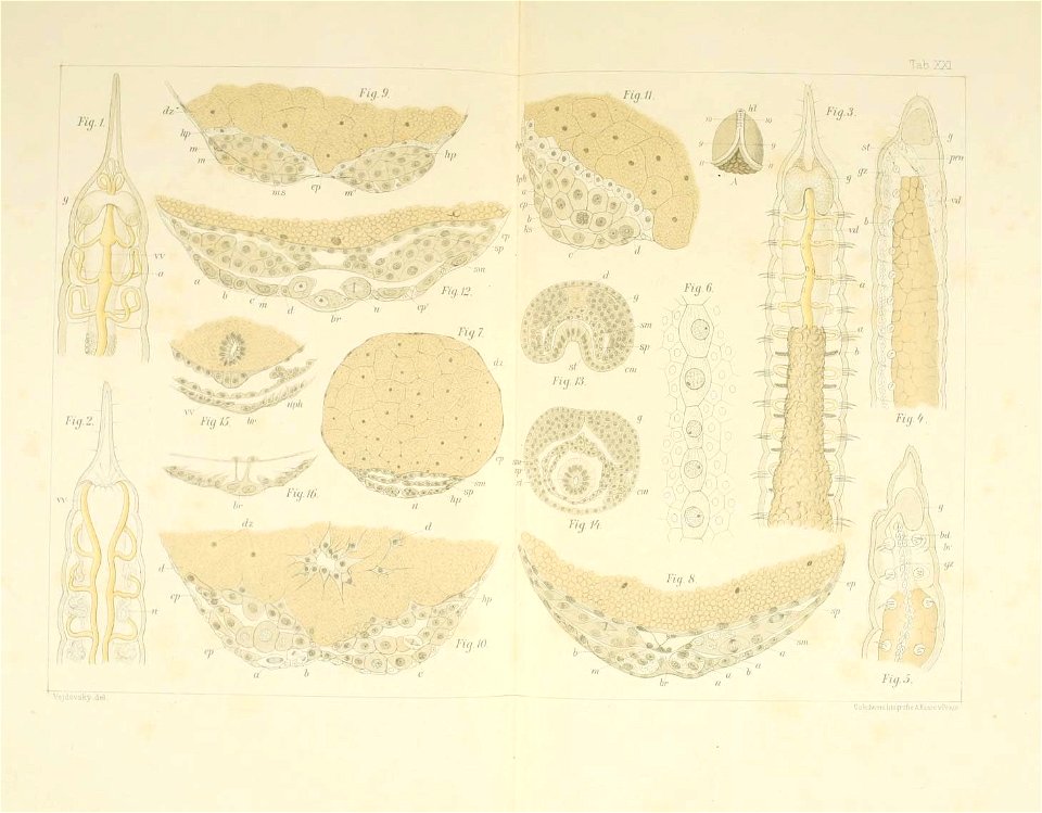 n114_w1150