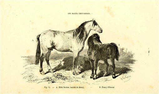 n101_w1150