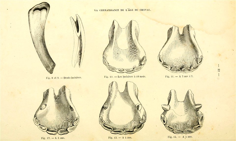 n35_w1150