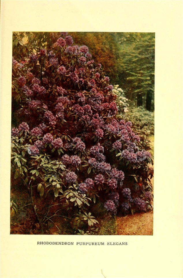 n546_w1150