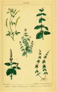 n1272_w1150