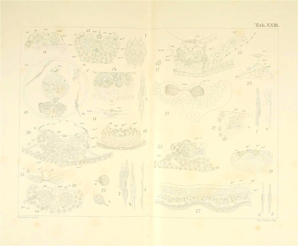 n122_w1150