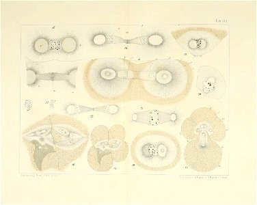 n62_w1150