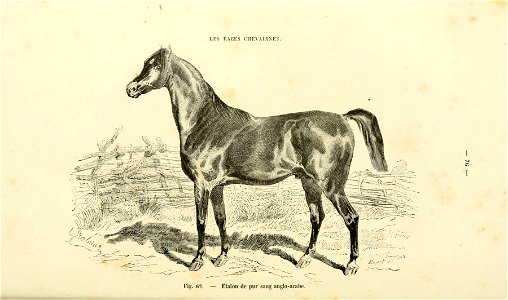 n79_w1150