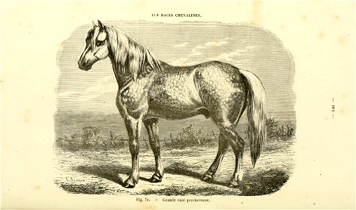 n107_w1150