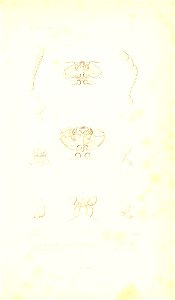n484_w1150