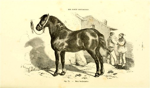 n105_w1150