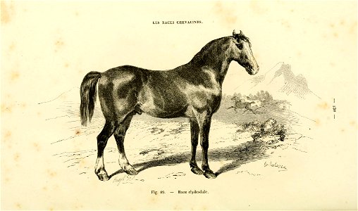 n133_w1150