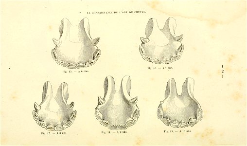 n37_w1150