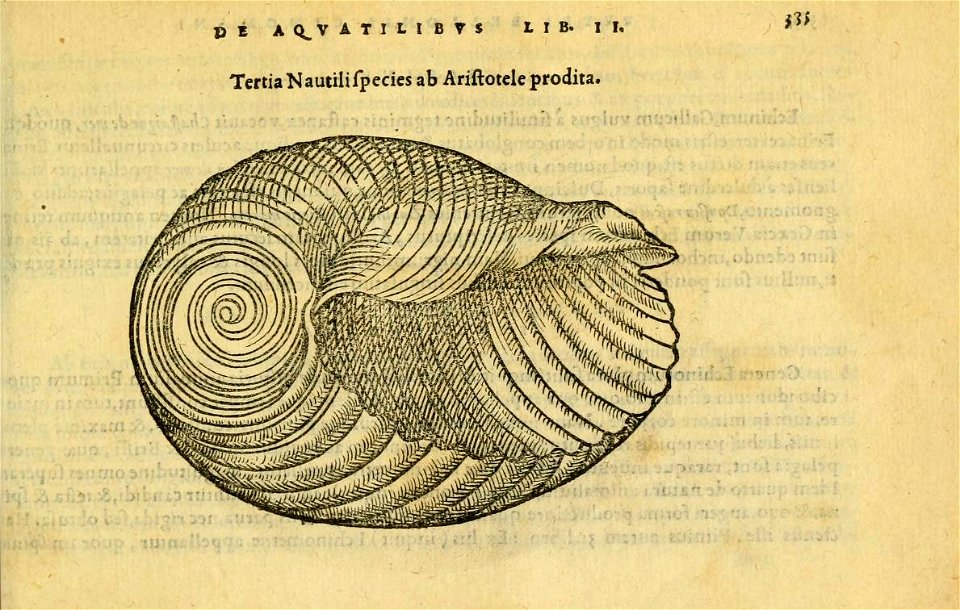 n422_w1150