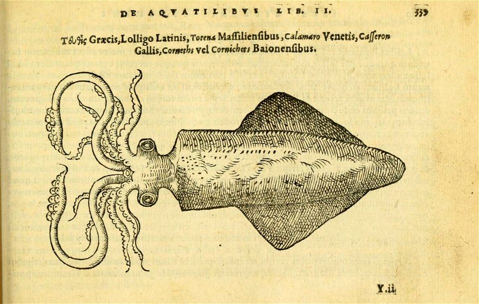 n378_w1150