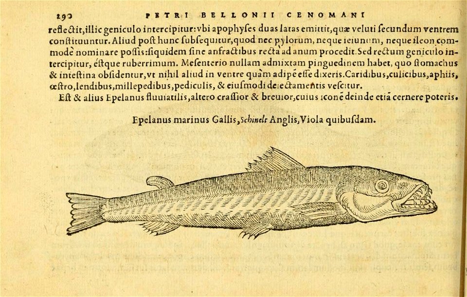 n329_w1150