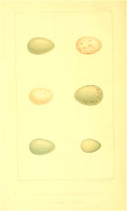 n49_w1150