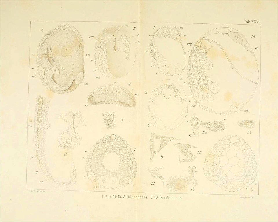 n150_w1150