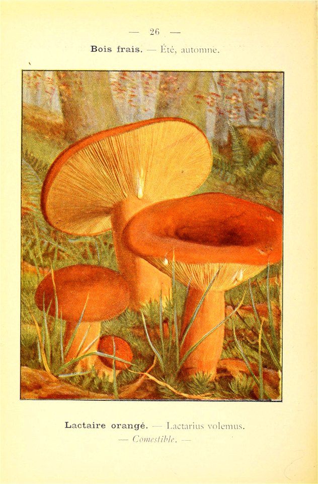 n69_w1150
