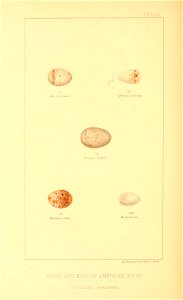 n111_w1150