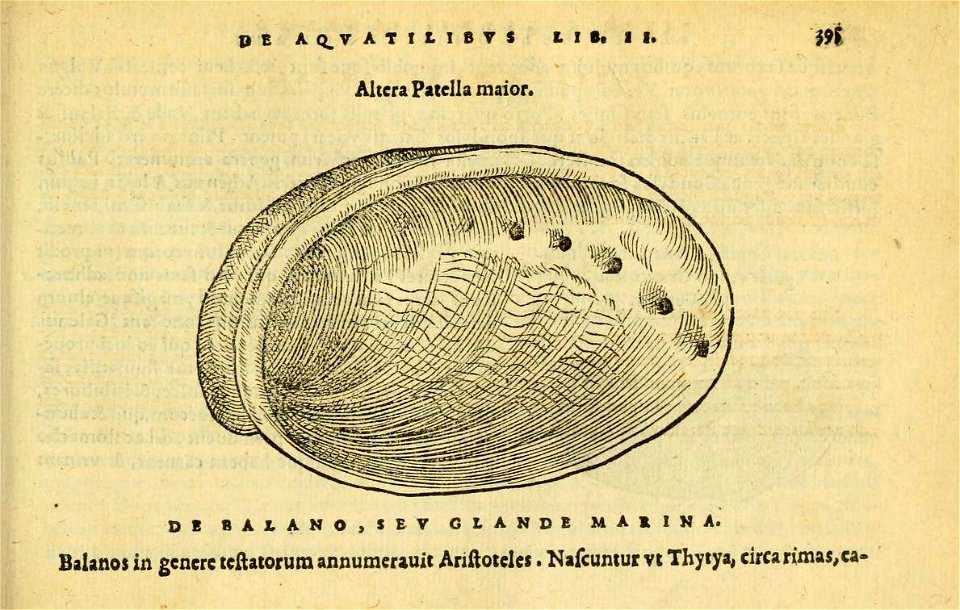 n434_w1150